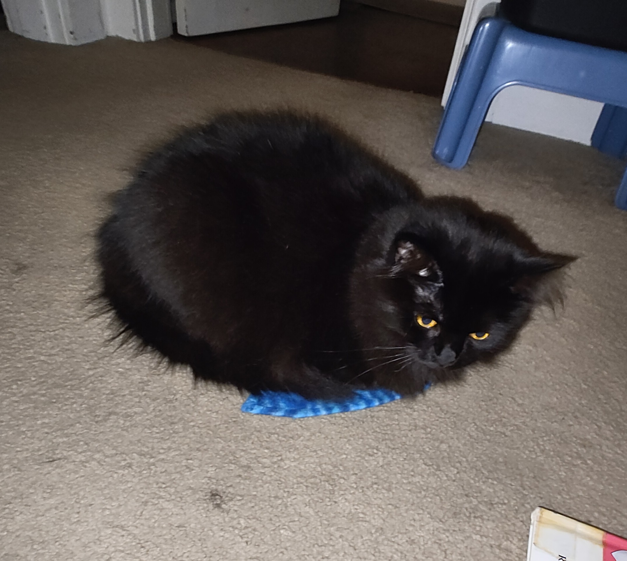 Cyclist on scenic road
